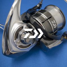 Daiwa Ignis Type R 2505