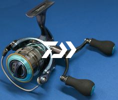 Daiwa Emeraldas MX 2508 PE-H-DH