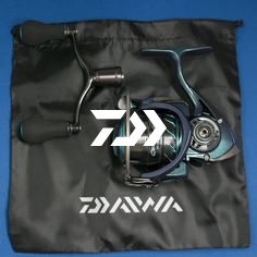 Daiwa Emeraldas MX 2508 PE-H-DH