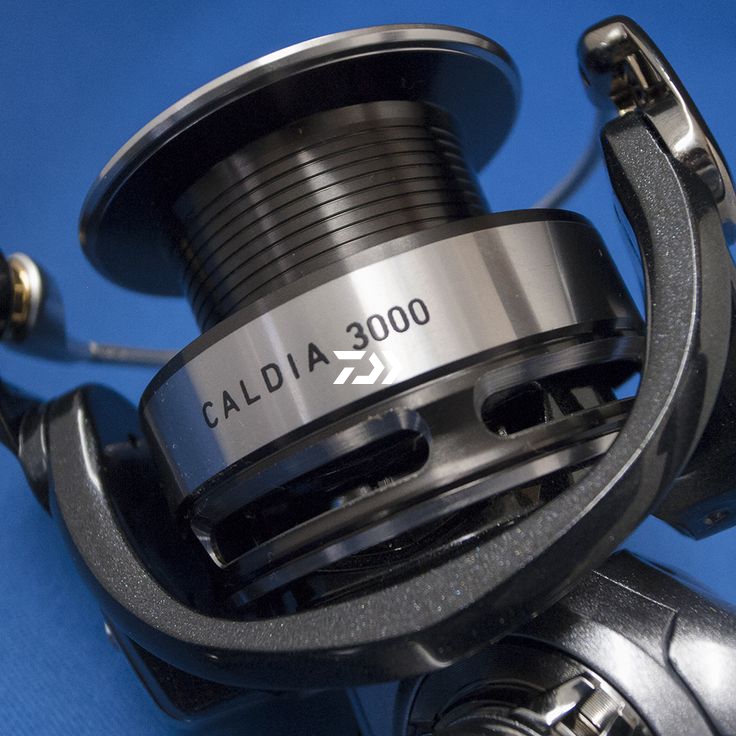 Daiwa 14 Caldia 3000