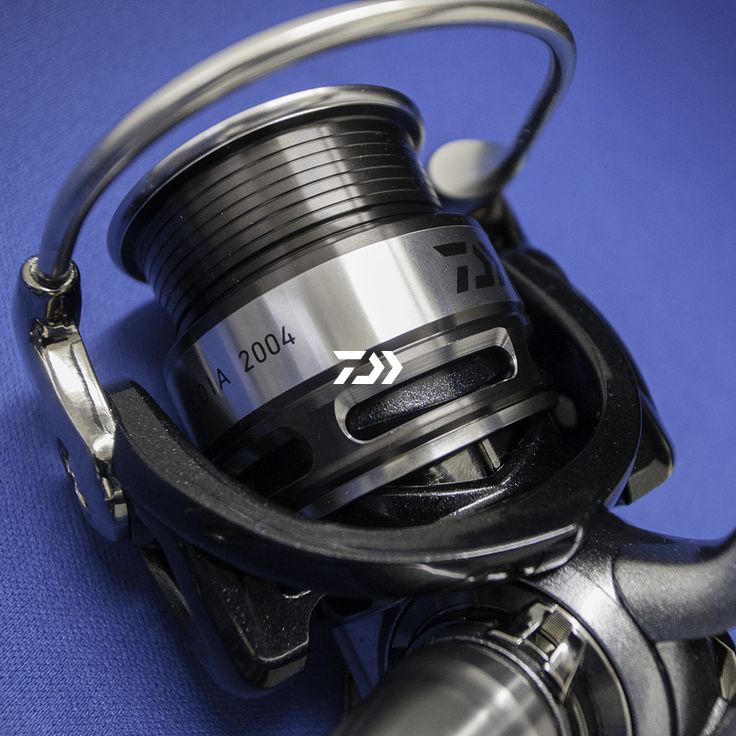 Daiwa 14 Caldia 2004